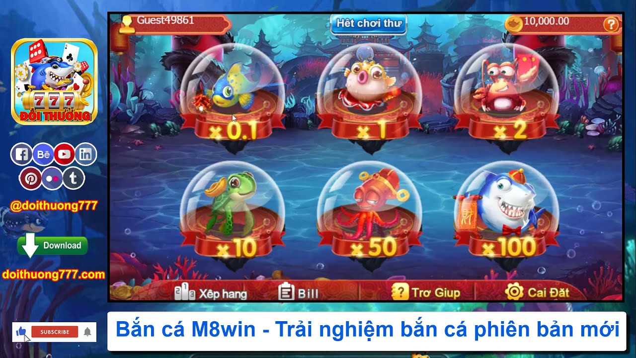 Bắn Cá M8Win: Trải Nghiệm Săn Cá Đỉnh Cao image-1732792922936