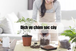 ban ca thuy cung huong dan toan dien va kinh nghiem chuyen sau tren pc 286 3921